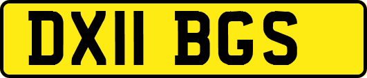 DX11BGS