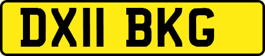 DX11BKG