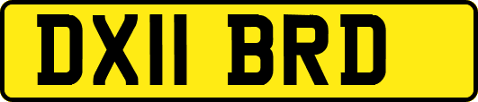 DX11BRD