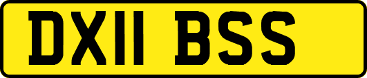 DX11BSS