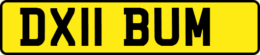 DX11BUM