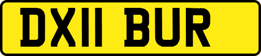 DX11BUR