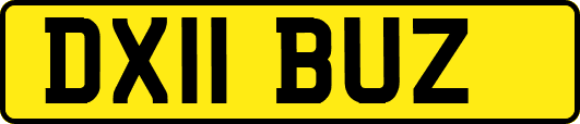 DX11BUZ