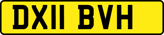 DX11BVH