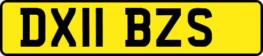 DX11BZS