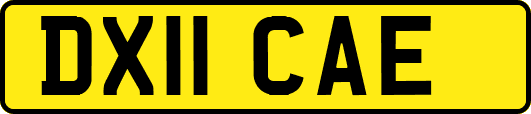 DX11CAE