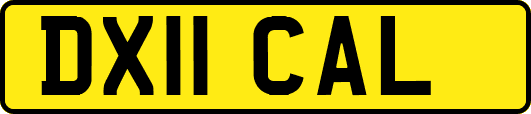DX11CAL