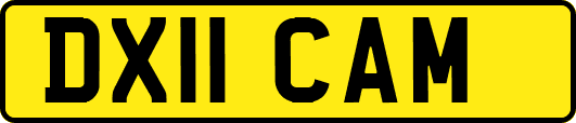 DX11CAM