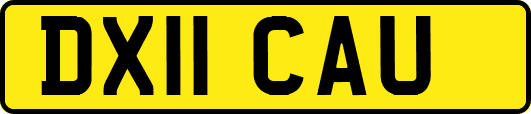 DX11CAU