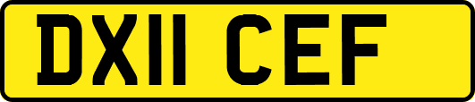 DX11CEF