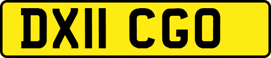DX11CGO
