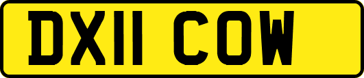 DX11COW