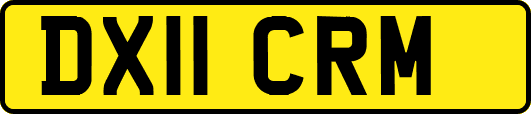 DX11CRM