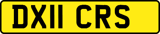 DX11CRS