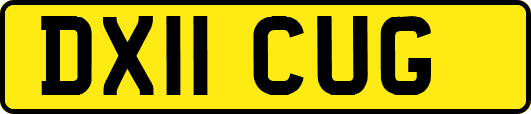 DX11CUG