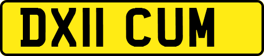 DX11CUM