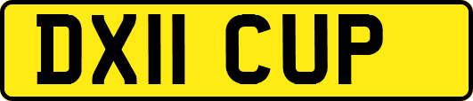 DX11CUP