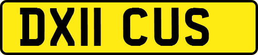 DX11CUS