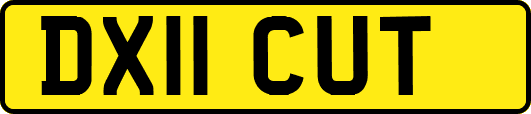 DX11CUT