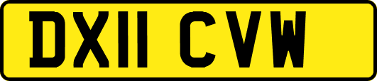 DX11CVW