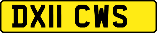 DX11CWS