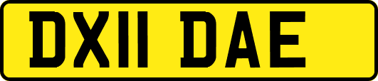 DX11DAE