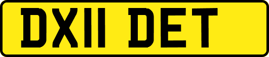 DX11DET