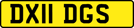 DX11DGS
