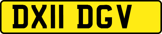 DX11DGV