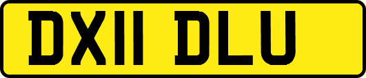 DX11DLU
