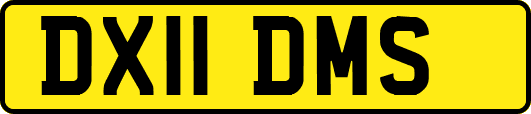 DX11DMS