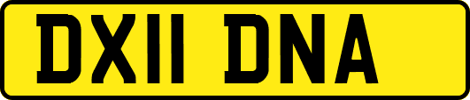 DX11DNA