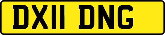 DX11DNG