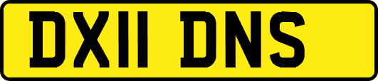 DX11DNS