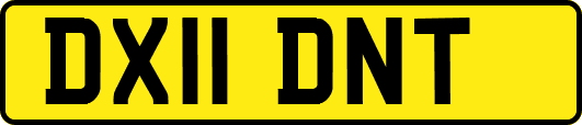 DX11DNT