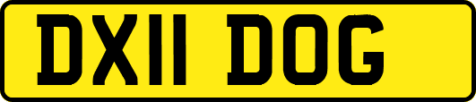 DX11DOG