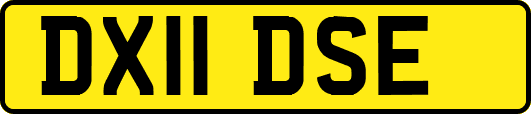 DX11DSE