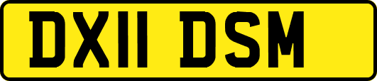DX11DSM