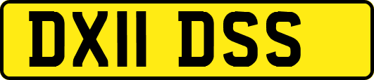 DX11DSS