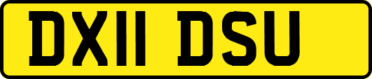 DX11DSU