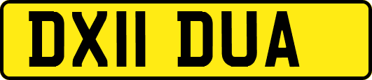 DX11DUA