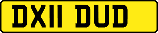 DX11DUD