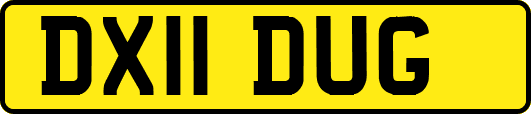 DX11DUG