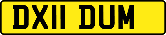 DX11DUM