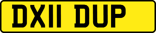 DX11DUP