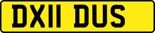 DX11DUS