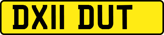 DX11DUT
