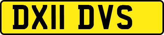 DX11DVS