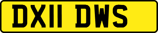 DX11DWS