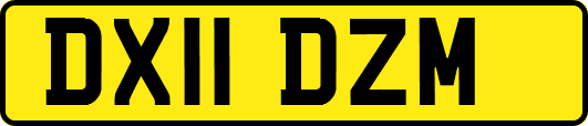 DX11DZM